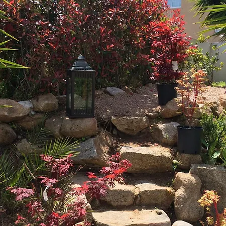 Avec Jardin Route Des Sanguinaires Barbicaja 아파트