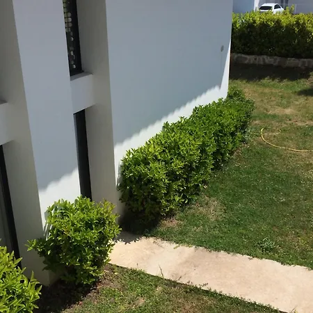 Avec Jardin Route Des Sanguinaires Barbicaja 아파트