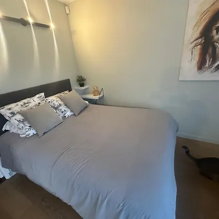 Apartment Avec Jardin Route Des Sanguinaires Barbicaja *