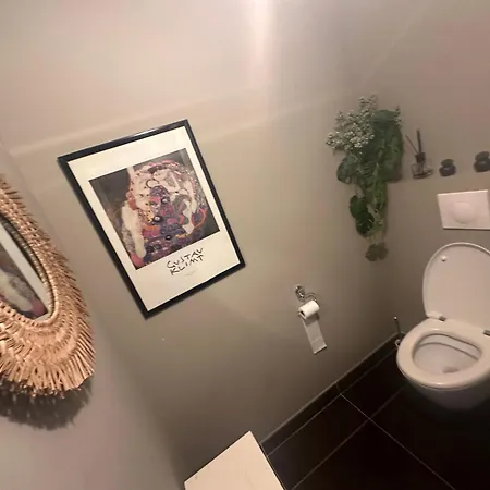 Apartment Avec Jardin Route Des Sanguinaires Barbicaja