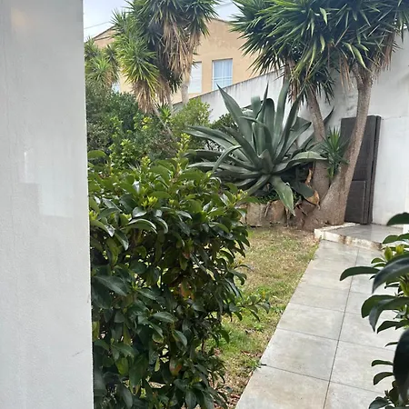 公寓 Avec Jardin Route Des Sanguinaires Barbicaja *