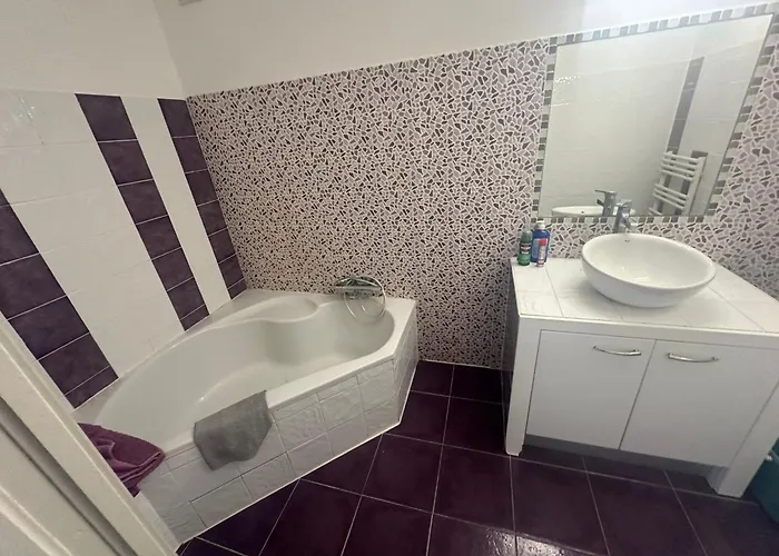 Apartment Avec Jardin Route Des Sanguinaires Barbicaja