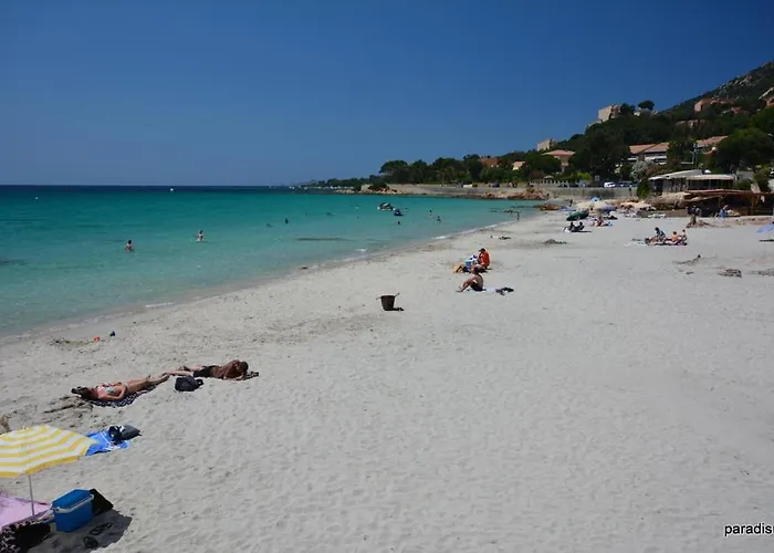 Avec Jardin Route Des Sanguinaires Barbicaja Апартаменти Аяччо