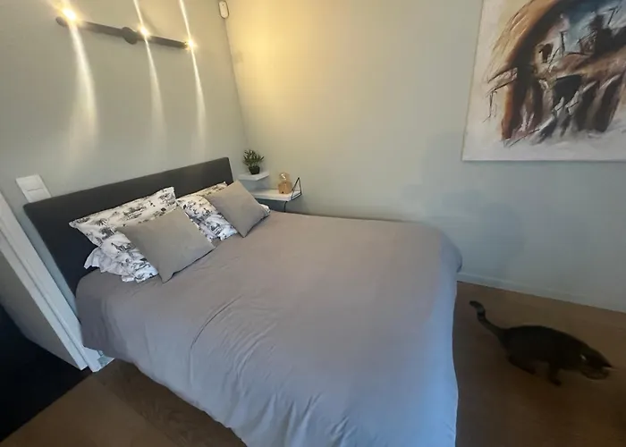 Apartment Avec Jardin Route Des Sanguinaires Barbicaja *