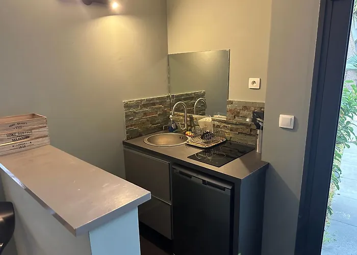 Avec Jardin Route Des Sanguinaires Barbicaja Apartment