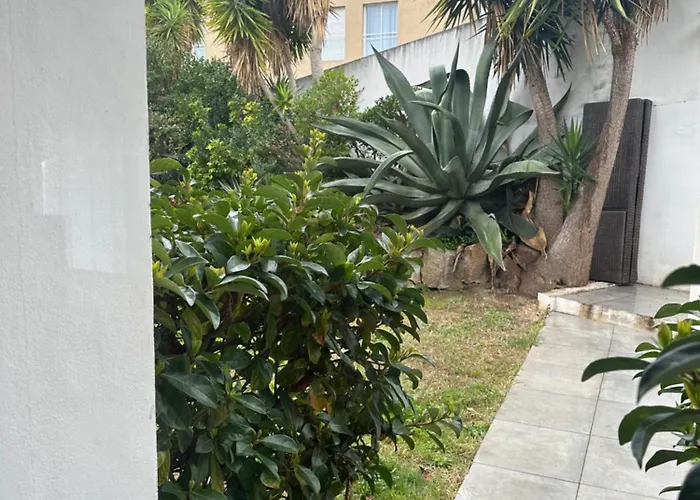 Апартаменти Avec Jardin Route Des Sanguinaires Barbicaja *